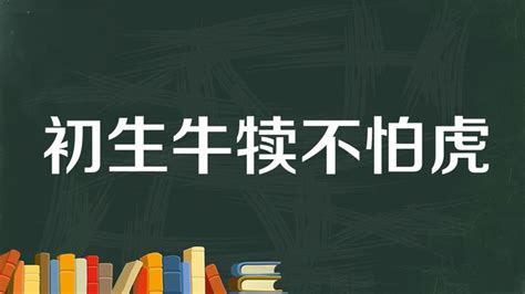 虎怕|虎刺怕Chutzpah是什么意思，它有什么作用？